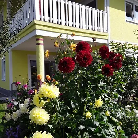 Steger Apartamento *